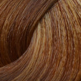 8.34 Light Blonde Golden Copper