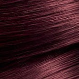 4.26 Chestnut Violet Red