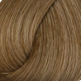 8.1 Light Blonde Ash